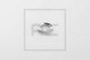 DAF 0206778 Pressure Ring